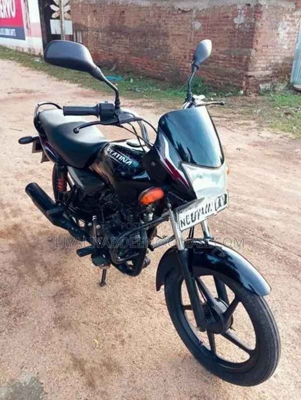 Bajaj Platina 100 2013