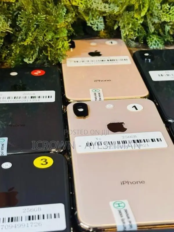 Apple iPhone XS 256GB (Used)