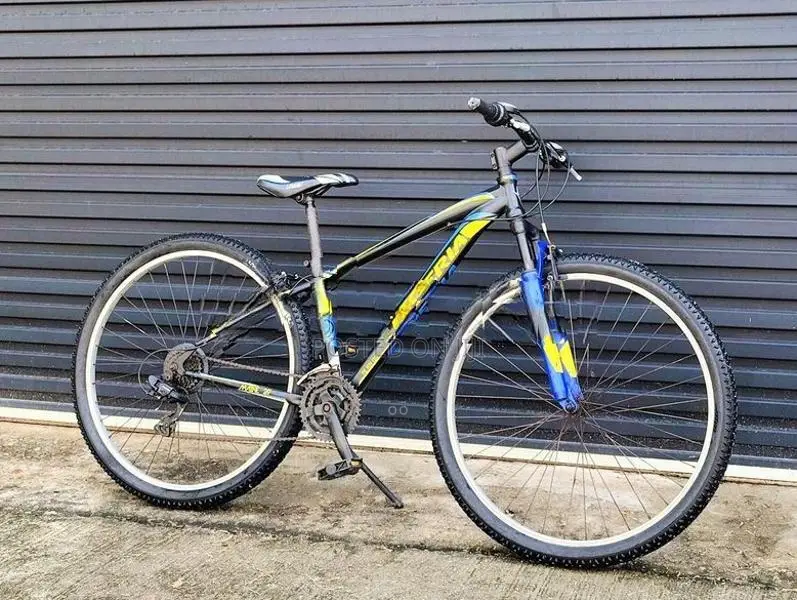 29' Mountain Bicycle