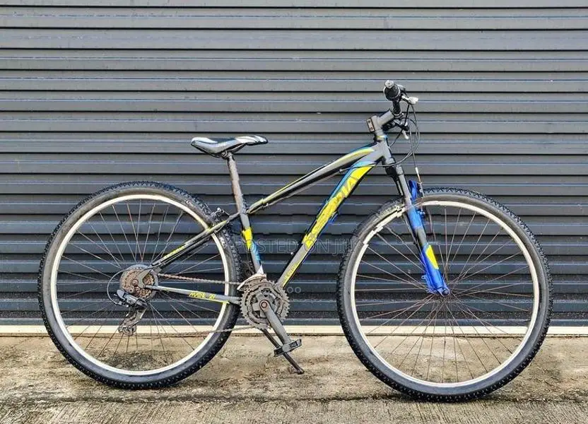 29' Mountain Bicycle