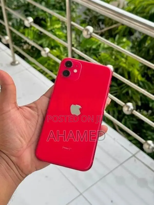 Apple iPhone 11 256GB (Used)