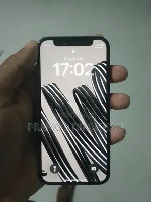 Apple iPhone 12 mini (Used)