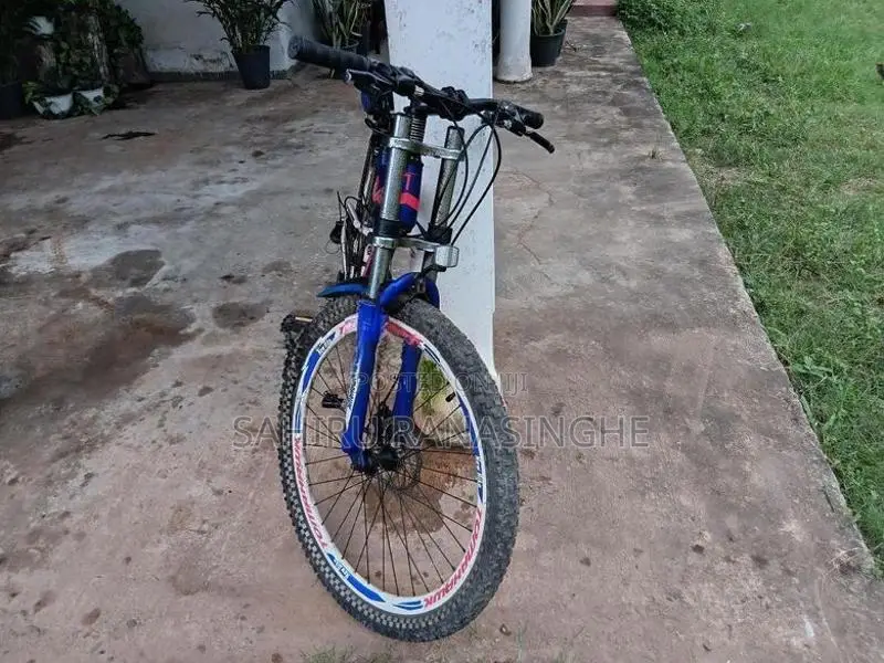 Tomahawk Mountain Bicycle