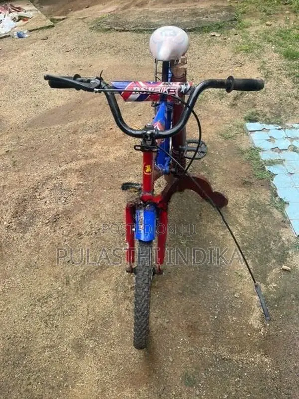 Dsi මදක් පාවිච්චි කල පා පැදිය විකිනිම ට