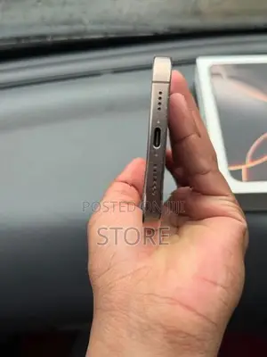 Apple iPhone 16 Pro Max (Used)