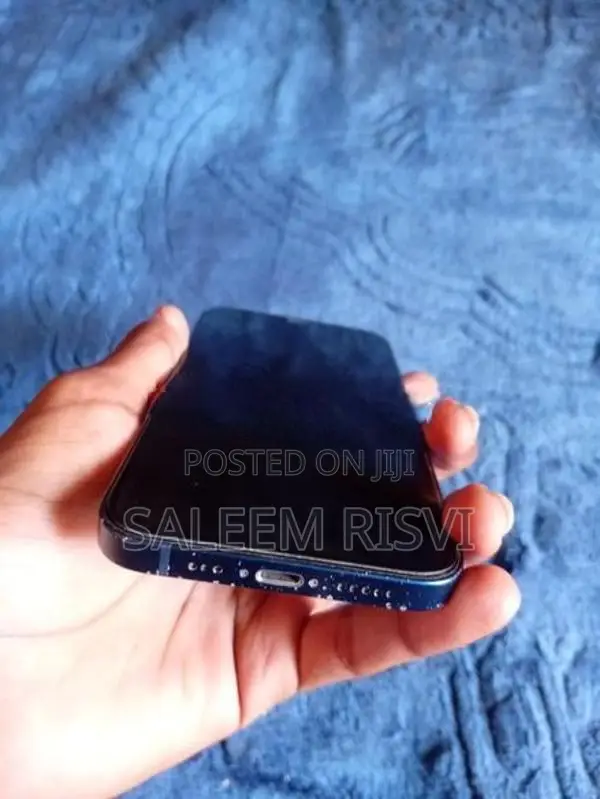 Apple iPhone 12 (Used)