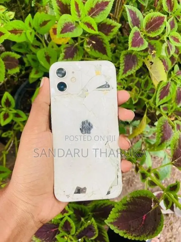 Apple iPhone 12 (Used)