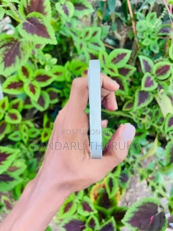 Apple iPhone 12 (Used)