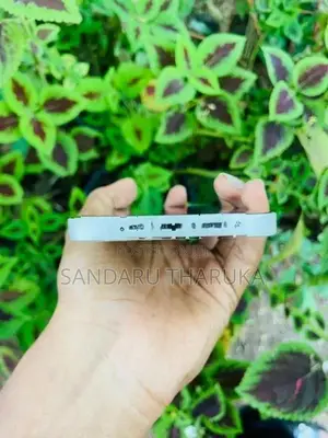 Apple iPhone 12 (Used)