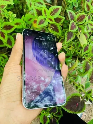 Apple iPhone 12 (Used)