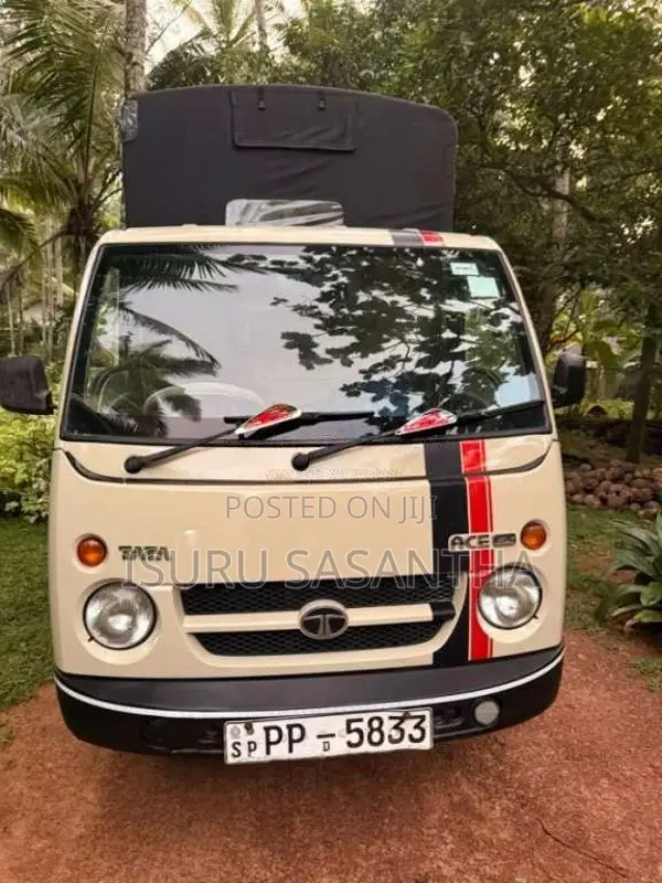 Tata Dimo Batta 2010 Lorry (Used)