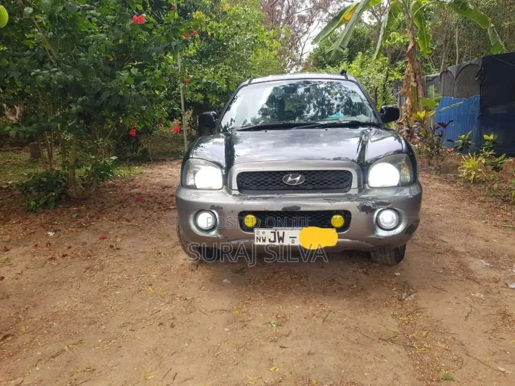 Hyundai Santa Fe 2004 SUV (Used)