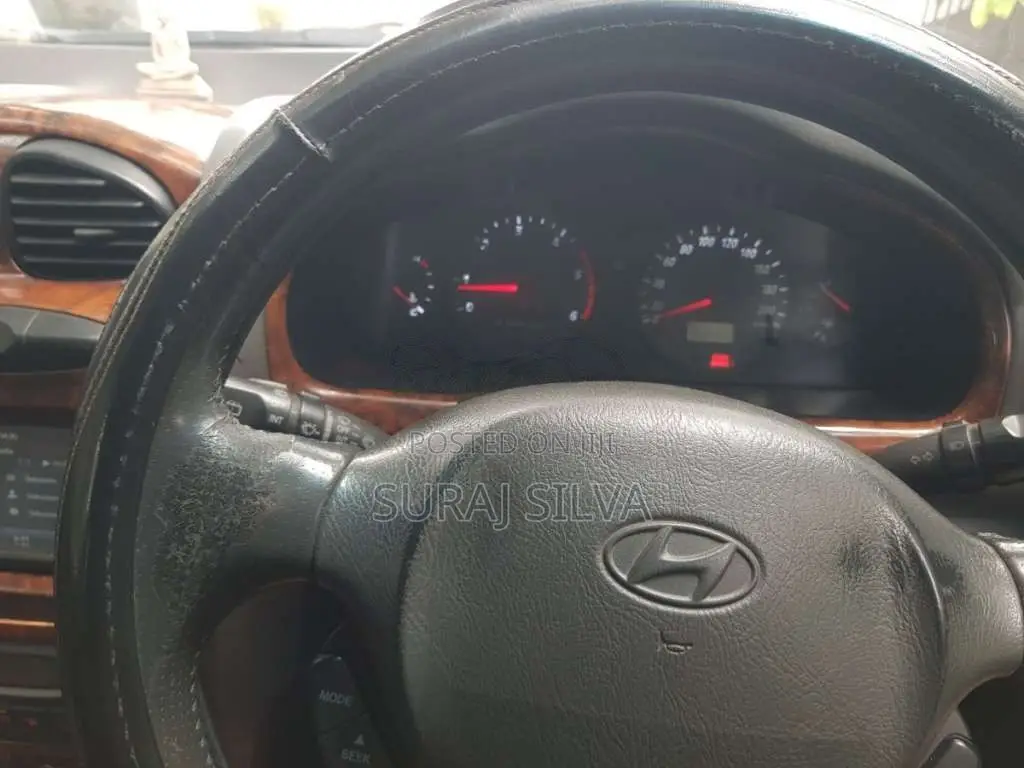 Hyundai Santa Fe 2004 SUV (Used)