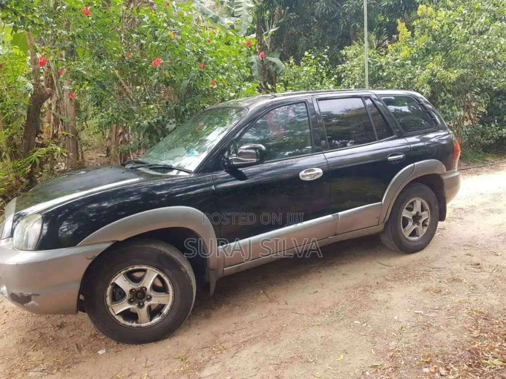 Hyundai Santa Fe 2004 SUV (Used)