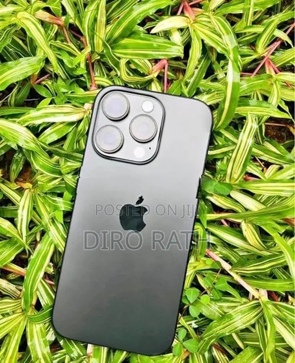 Apple iPhone 16 Pro Max (Used)