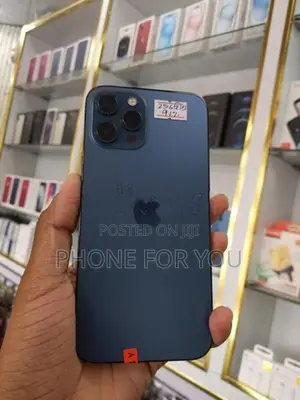 Apple iPhone 12 Pro Max (Used)
