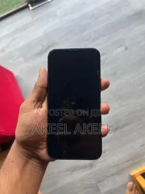 Apple iPhone 13 Pro Max (Used)