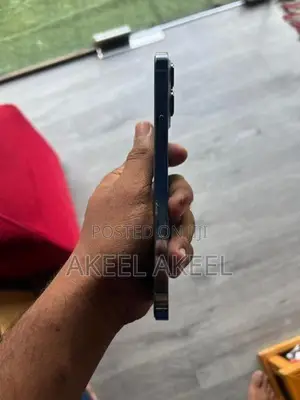 Apple iPhone 13 Pro Max (Used)