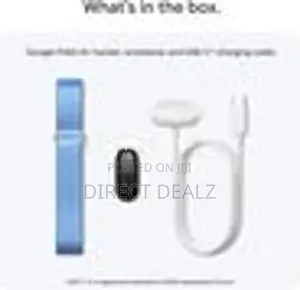 Google Fitbit Air