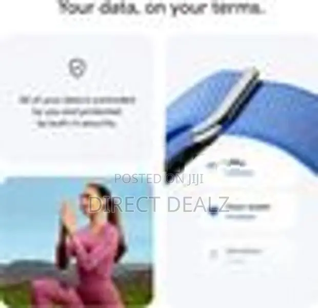 Google Fitbit Air