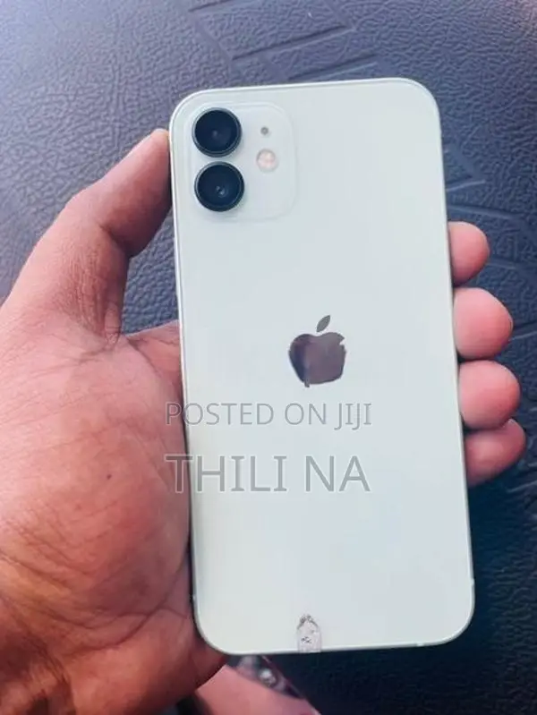 Apple iPhone 12 (Used)