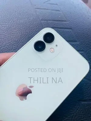 Apple iPhone 12 (Used)