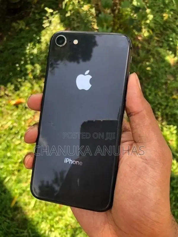 Apple iPhone 8 (Used)
