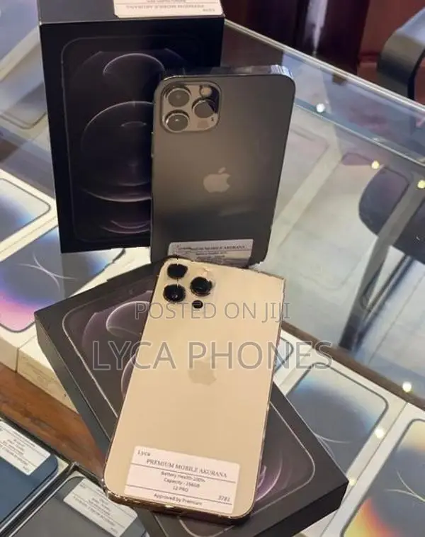 Apple iPhone 12 Pro 256GB (Used)