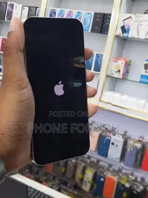 Apple iPhone 15 Pro Max (Used)