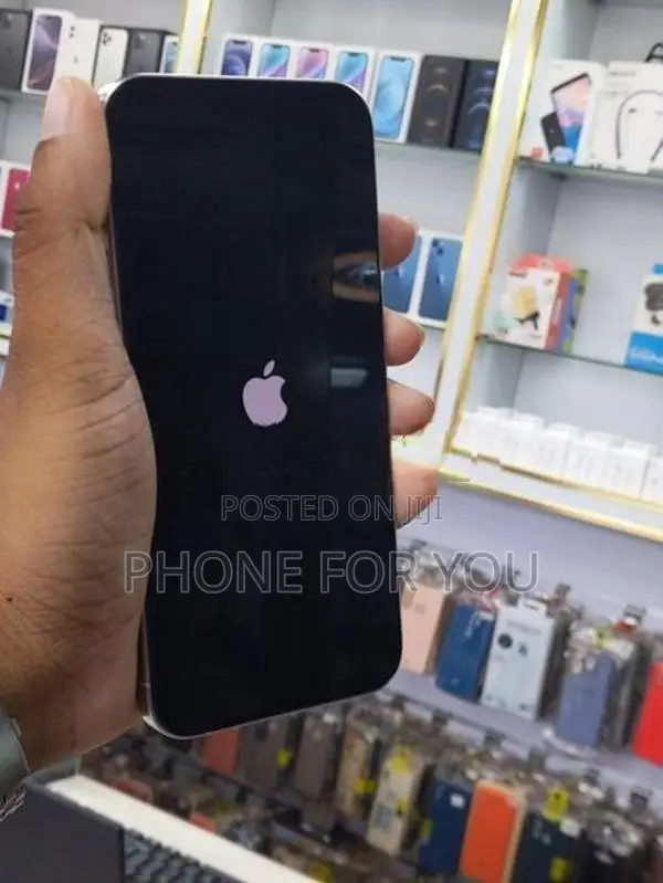 Apple iPhone 15 Pro Max (Used)