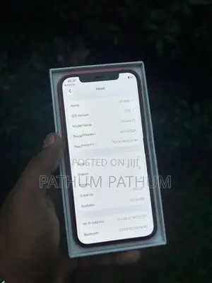 Apple iPhone 12 (Used)