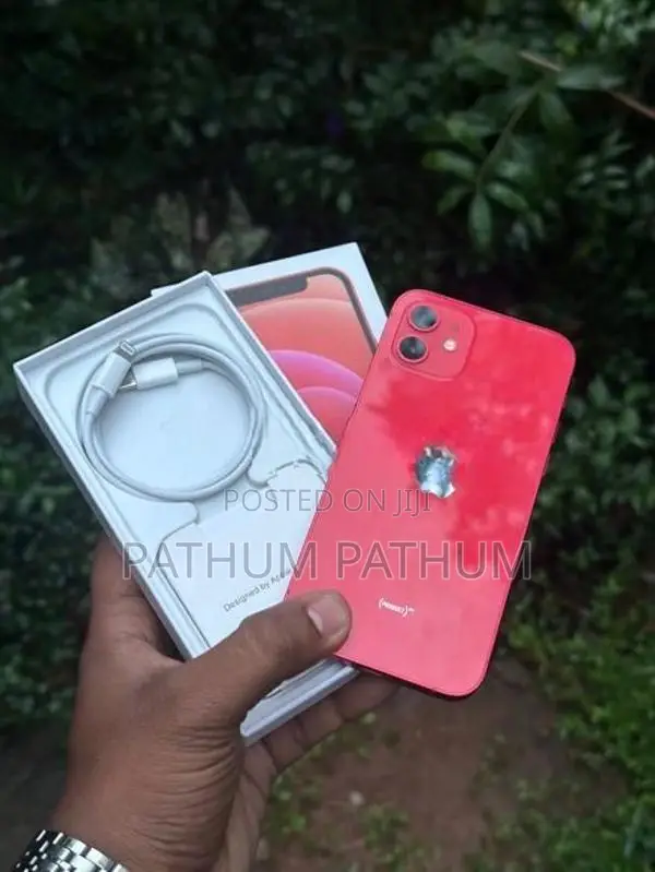 Apple iPhone 12 (Used)