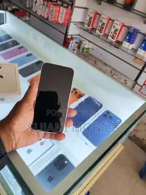 Apple iPhone 13 (Used)