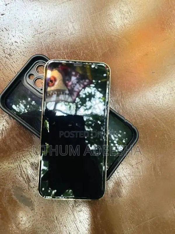 Apple iPhone 12 Pro (Used)