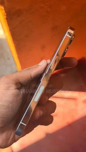 Apple iPhone 13 Pro (Used)