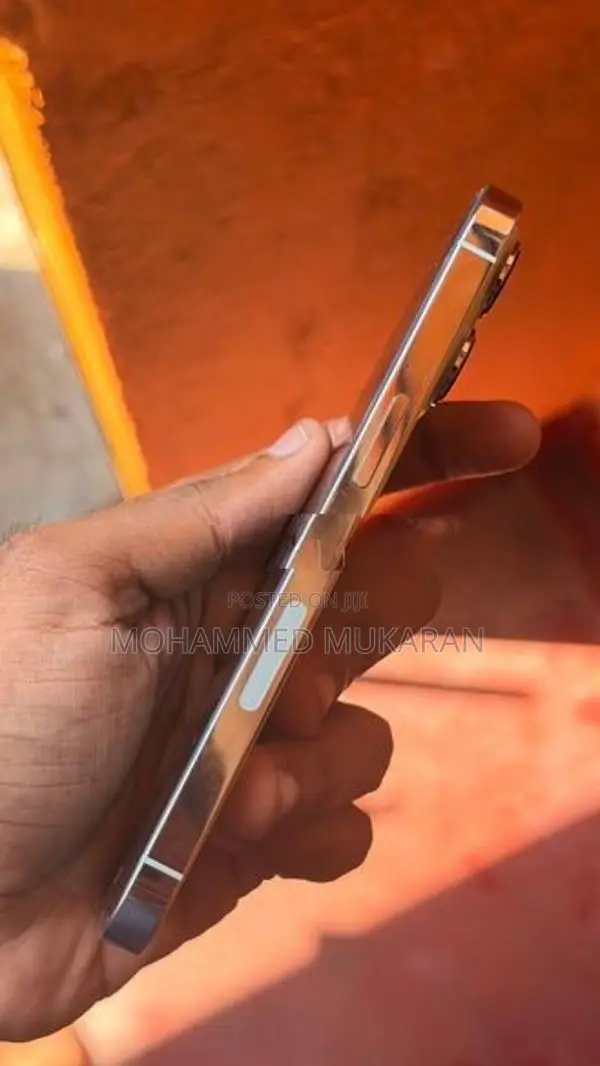 Apple iPhone 13 Pro (Used)
