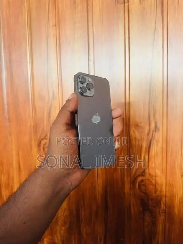 Apple iPhone 12 Pro Max (Used)