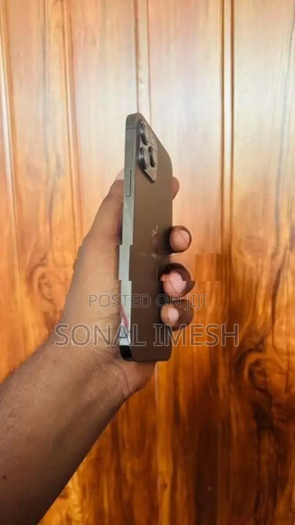 Apple iPhone 12 Pro Max (Used)