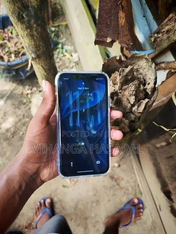 Apple iPhone 11 (Used)
