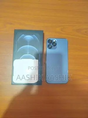 Apple iPhone 12 Pro Max (Used)