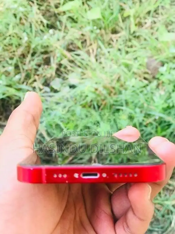 Apple iPhone 13 (Used)