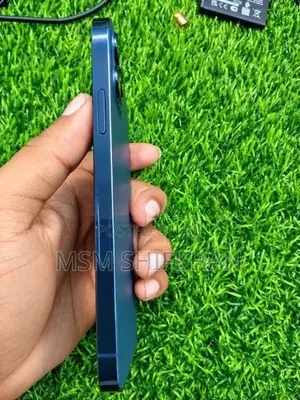 Apple iPhone 12 Pro (Used)