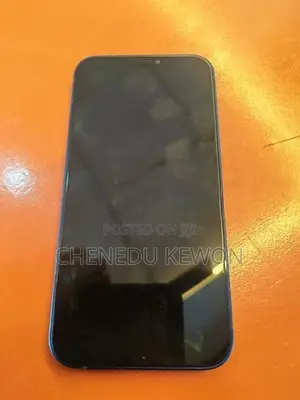 Apple iPhone 12 (Used)