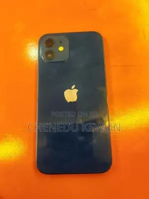 Apple iPhone 12 (Used)