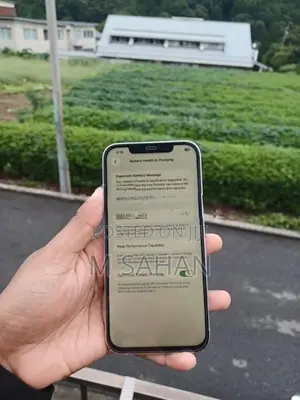 Apple iPhone 12 Pro Max (Used)