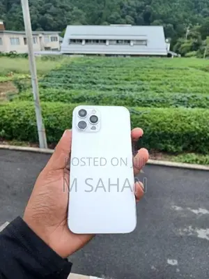 Apple iPhone 12 Pro Max (Used)