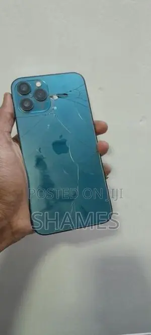Apple iPhone 12 Pro Max (Used)
