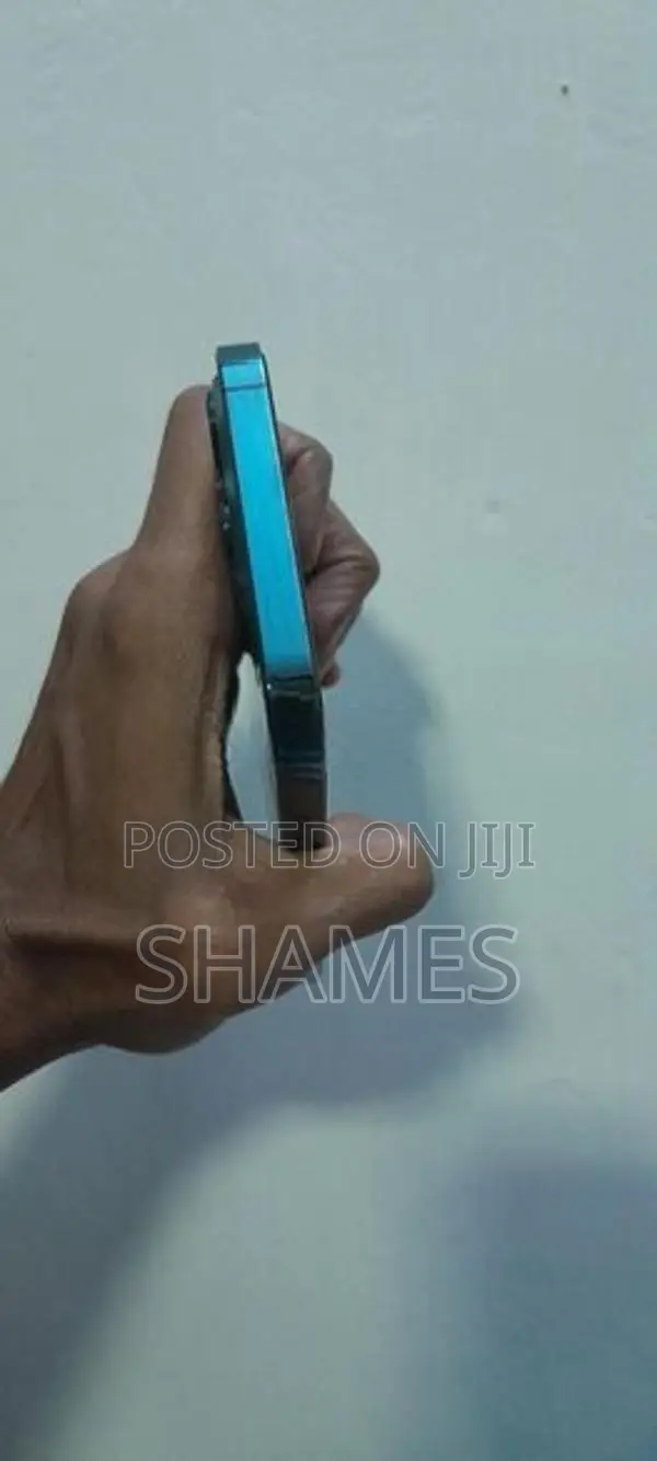 Apple iPhone 12 Pro Max (Used)