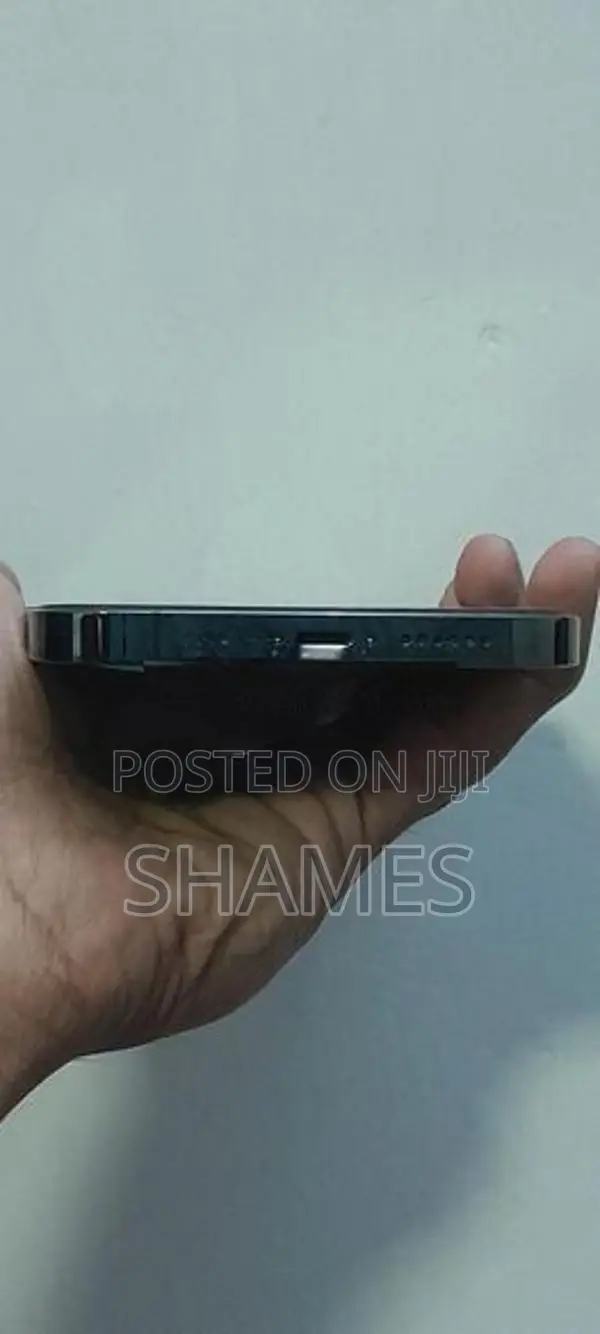 Apple iPhone 12 Pro Max (Used)