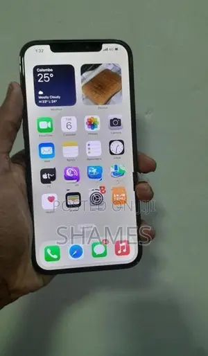 Apple iPhone 12 Pro Max (Used)